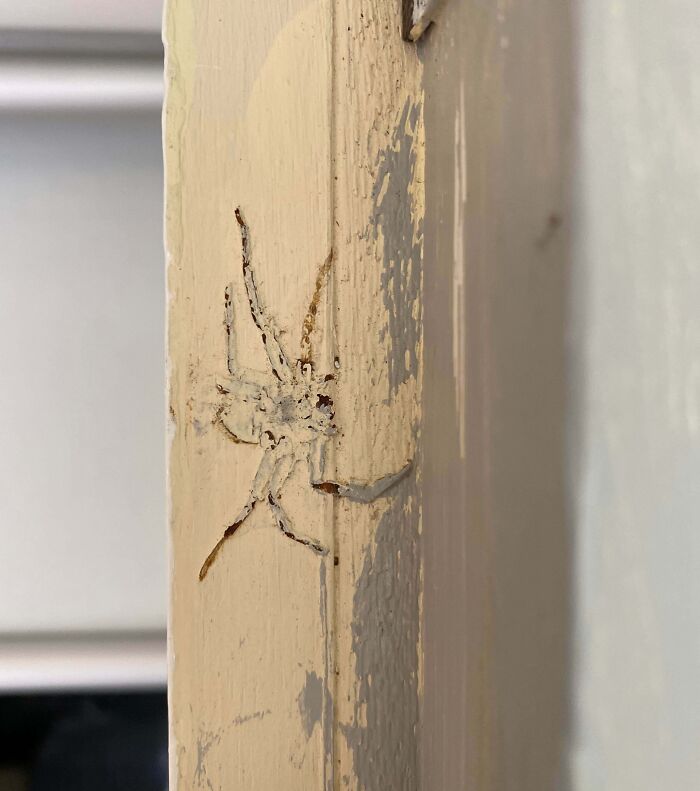 Peeling paint on door frame oddly resembles a poorly done spider drawing, showcasing job failure almost impressive.