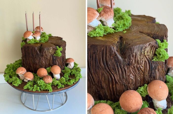 Cake designed to look like a tree stump with mushrooms and greenery, showcasing masterfully crafted cakes creativity.