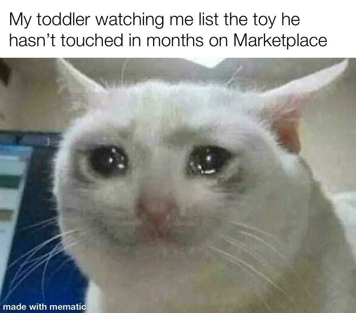 Sad cat meme representing relatable memes for parents about listing unused toys online.