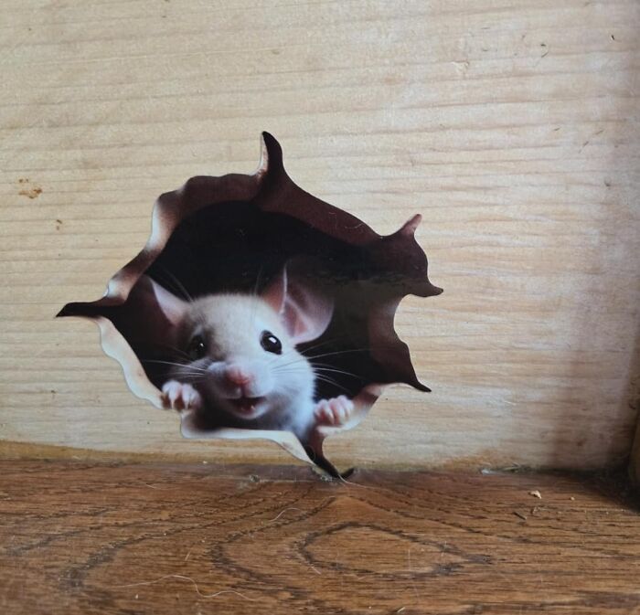 Mouse peeking through a hole decal on wooden surface, perfect gag gift idea for friends who dislike scented candles.