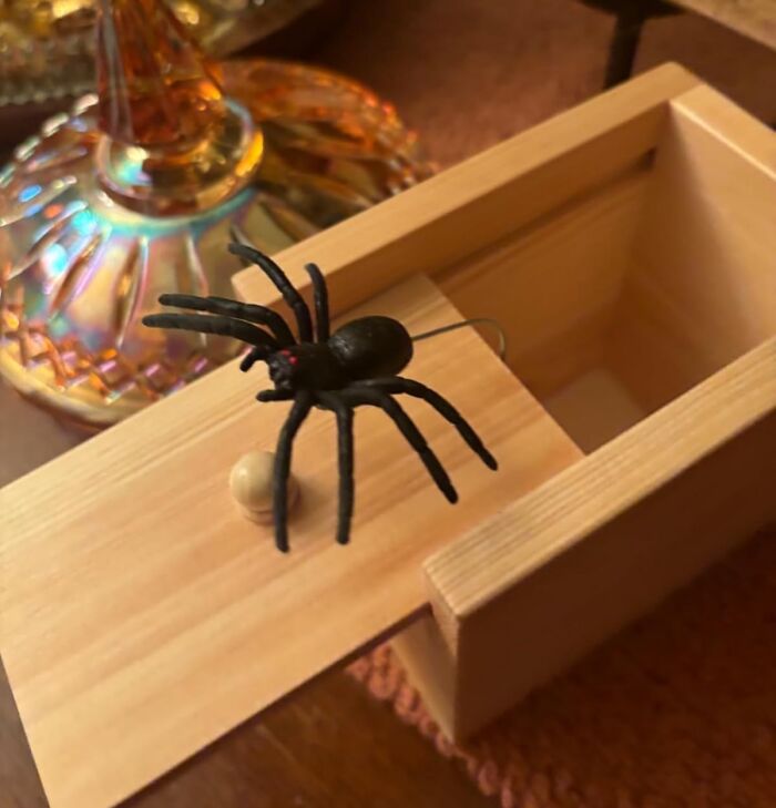 Wooden gag gift box with a fake spider prank for the friend who thinks a scented candle is a cry for help
