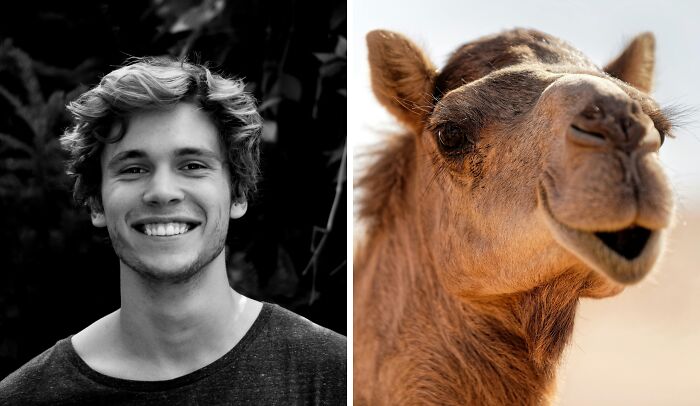 Young man smiling in black and white photo next to close-up of a camel, illustrating public speaking or deep water dilemma.