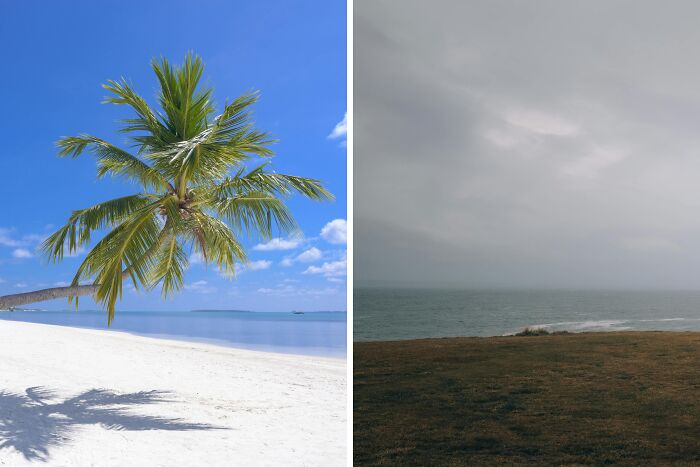 Split image showing a sunny beach with palm tree versus a cloudy shoreline, illustrating a public speaking or deep water dilemma.