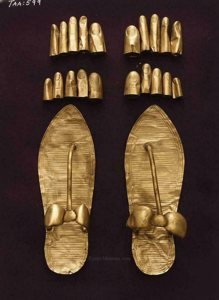 Golden ancient Egyptian toe and finger coverings displayed on a dark background, showcasing incredible artifacts from Ancient Egypt.