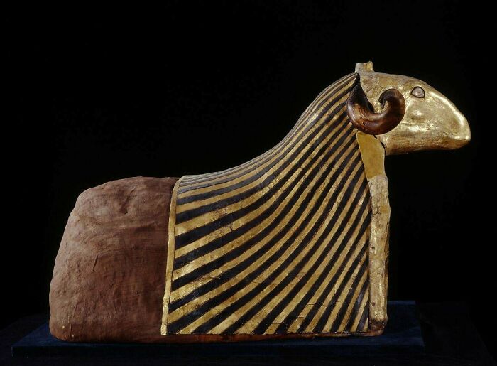 Ancient Egyptian ram statue with gold and black striped headdress displayed against a black background, showcasing incredible artifacts.
