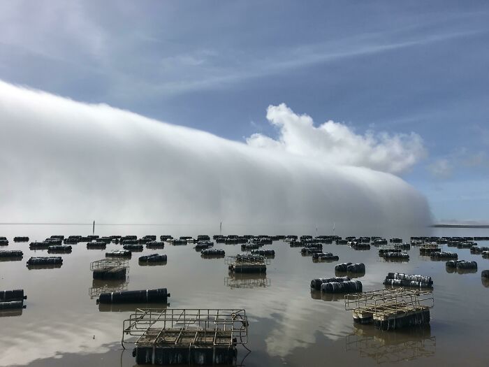 Aquaculture farm with floating oyster cages under a dramatic sky, showcasing unique jobs that make a 9-to-5 more bearable.