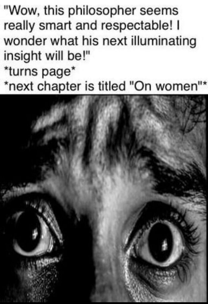 Close-up of shocked eyes below a text meme about a philosopher's next chapter titled on women, highlighting intellectual philosophy memes.