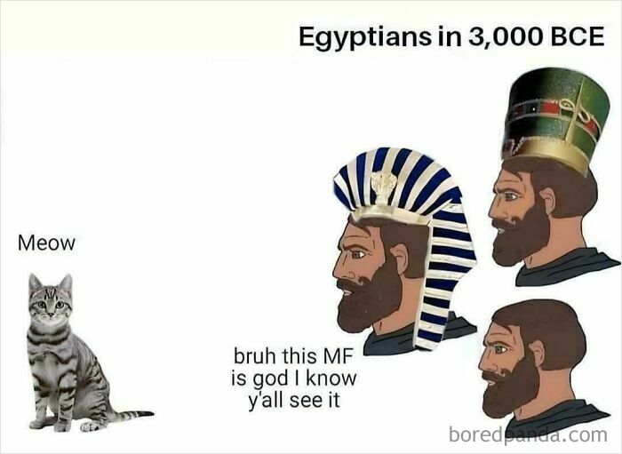 Funny history meme showing Egyptians in 3000 BCE with cat and humorous captions about ancient beliefs.