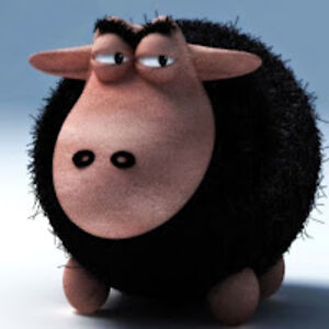 anjackiemiller avatar