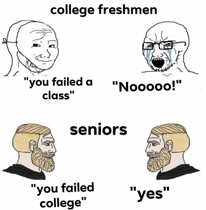 College memes showing freshmen upset about failing a class and seniors calmly accepting college failure.
