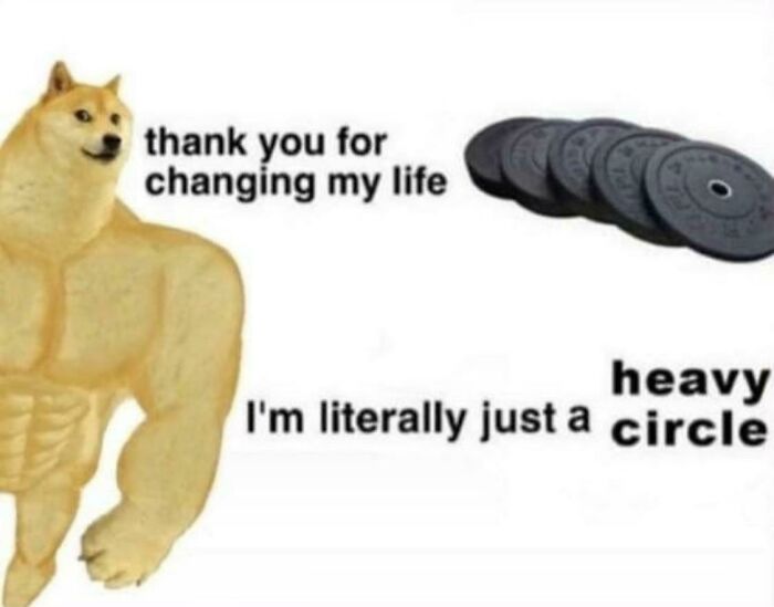 Buff Doge thanking heavy gym weight plates for changing his life, a relatable gym meme for real lifters.