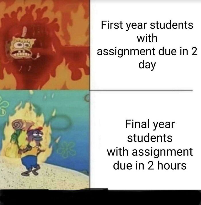 Meme showing first year and final year college students stressed about assignments, related to college memes for students.