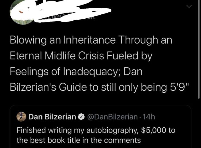 Screenshot of a witty social media burn referencing Dan Bilzerian, showcasing epic burns that turned insults into art.