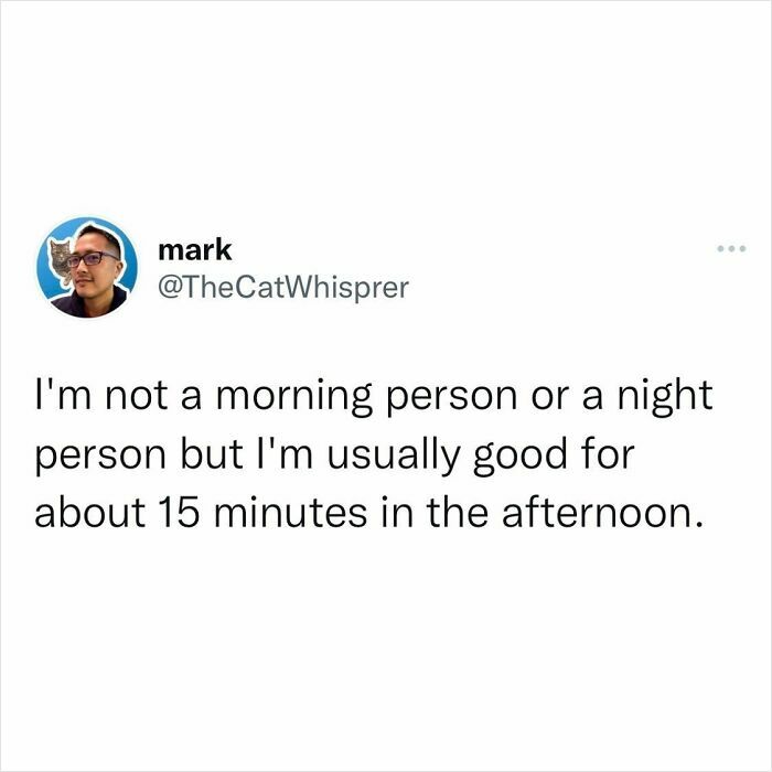 Tweet about not being a morning or night person, relatable to parenting and marriage humor shared online.