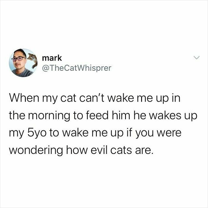 Parenting humor tweet about a cat waking a child to get fed, showcasing relatable parenting and marriage challenges.