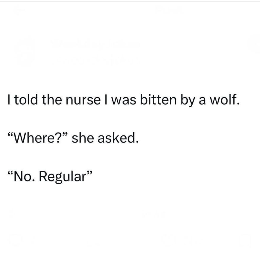 Text joke about being bitten by a wolf, illustrating a horrible joke rewarded with an angry upvote.
