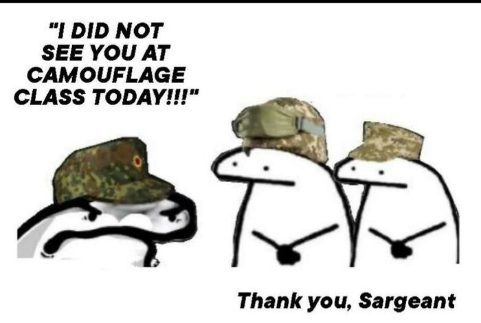 Cartoon soldiers in camouflage hats, one angry about no camouflage, illustrating a hilariously stupid military joke.