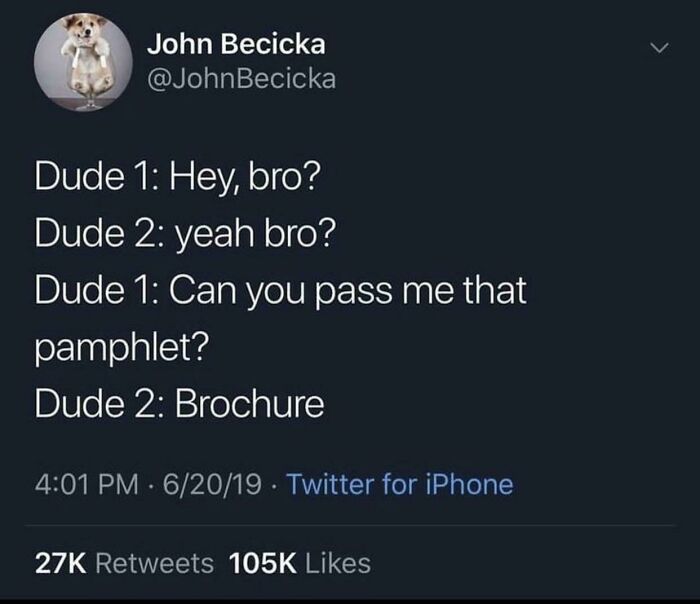 Screenshot of a humorous Twitter exchange with a funny misunderstanding about the word pamphlet, highlighting stupid posts.