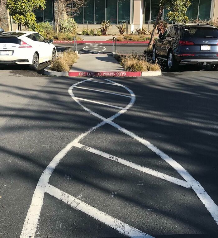 Parking lot with unique curved white lines in a work environment showcasing different jobs making a 9-to-5 more bearable
