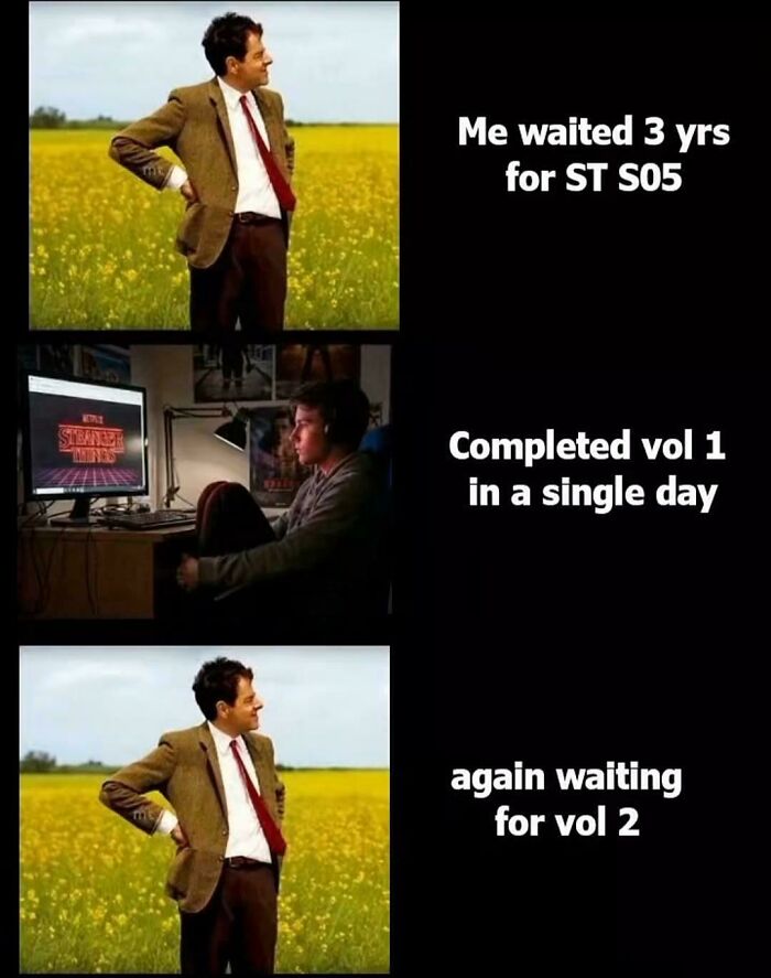 Man in field and person watching Stranger Things on computer, illustrating funny Stranger Things memes about waiting for new volumes.