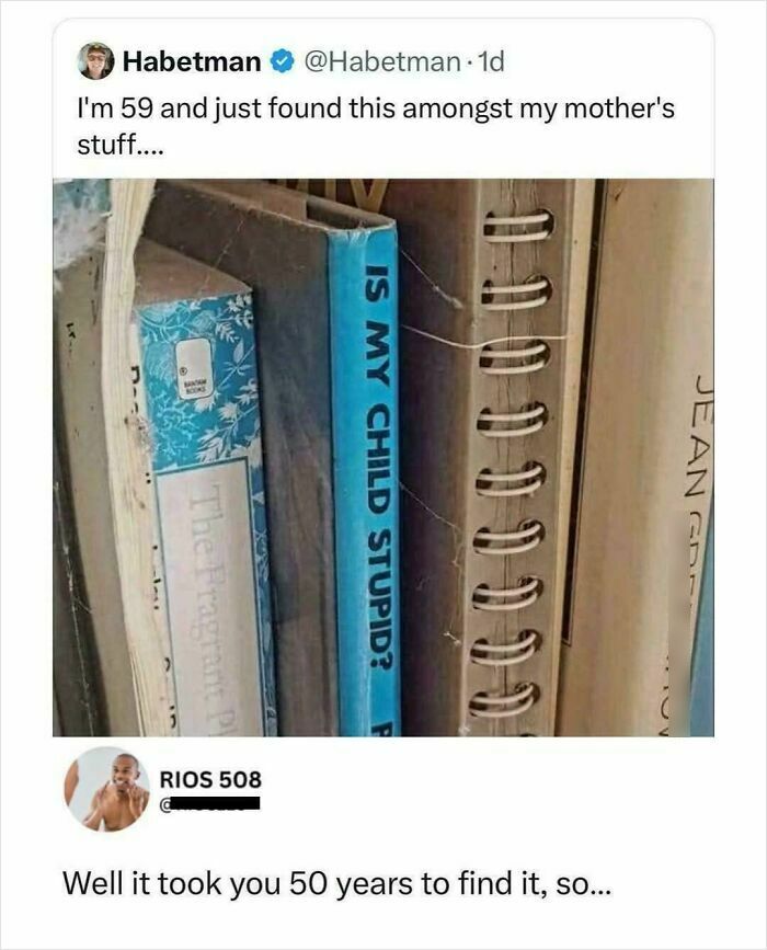 Twitter exchange showing epic burns in 2025, turning witty insults into art with clever book titles and replies.