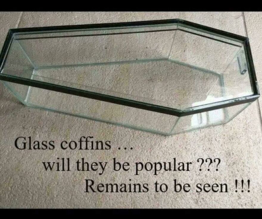 Clear glass coffin on a carpeted floor with a joke about glass coffins and their popularity in dark humor.