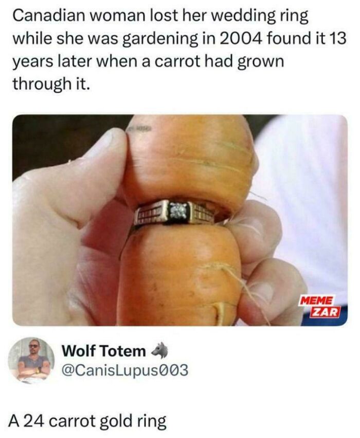 Hand holding a carrot with a wedding ring grown through it, a funny post from hilariously stupid posts collection.