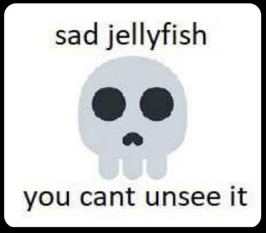 Cartoon skull resembling a sad jellyfish with text highlighting a joke so horrible it gets an angry upvote.