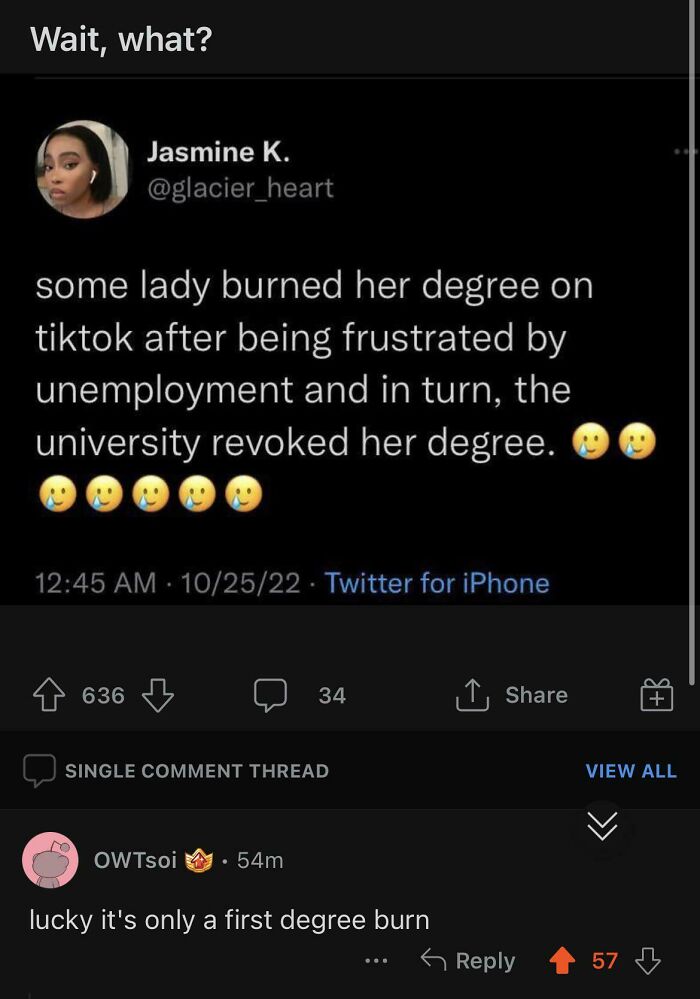 Screenshot of a hilarious social media post about a lady burning her degree, featured in stupid posts with angry upvotes.