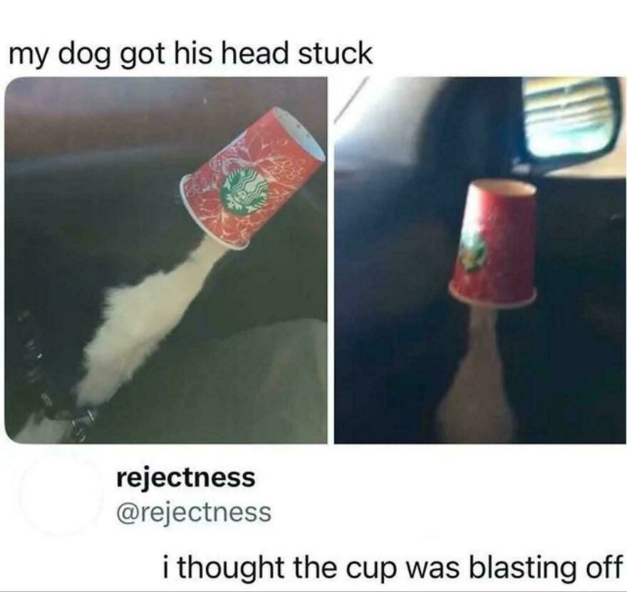 Dog with his head stuck in a coffee cup, a horrible joke that earned an angry upvote in a funny meme.