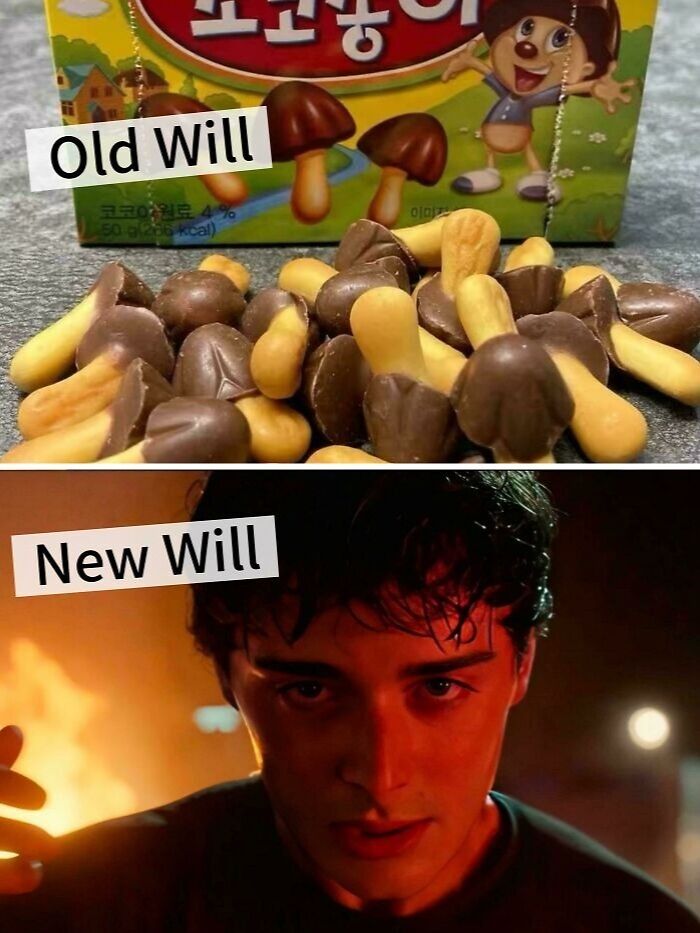 Comparison meme showing old Will as chocolate mushroom snacks and new Will as a serious young man, referencing Stranger Things memes.