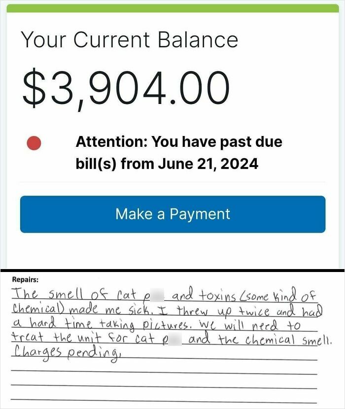 Rental balance past due notice combined with tenant complaint about cat odor and chemical toxins from landlord neglect.