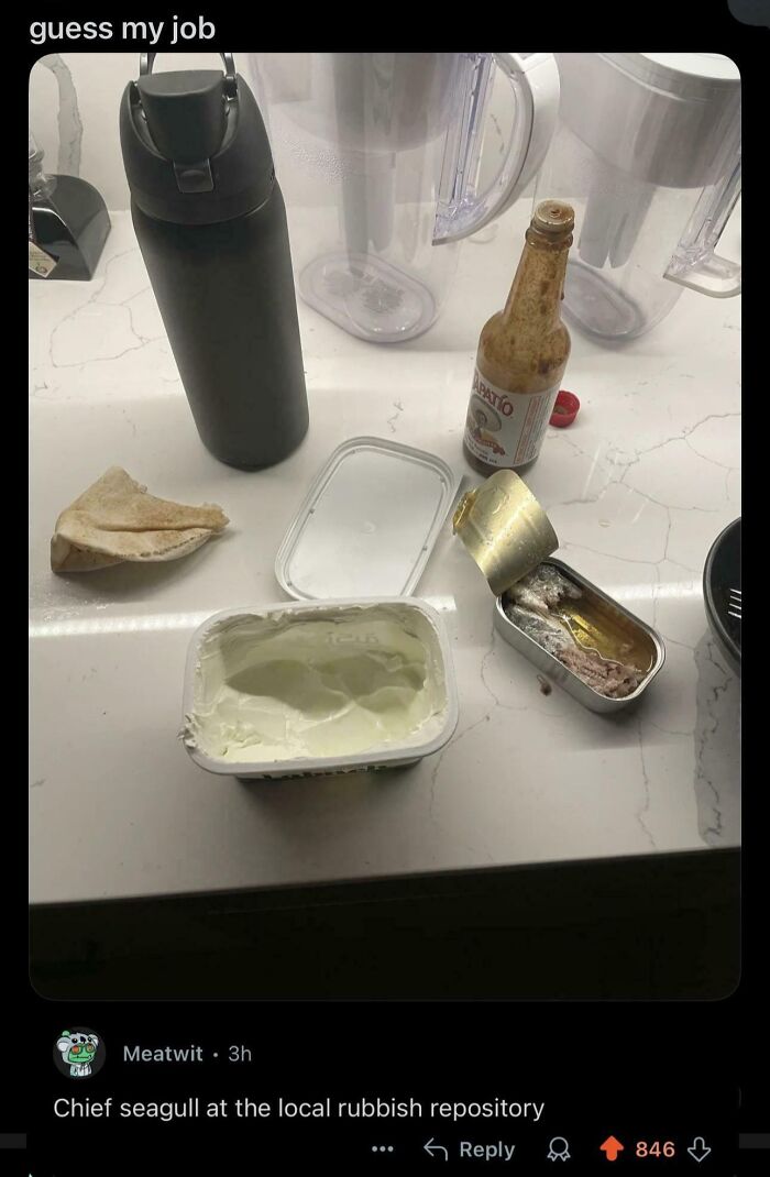 A kitchen counter with a water bottle, hot sauce, pita bread, cream cheese, and an open tin of sardines - epic burns.