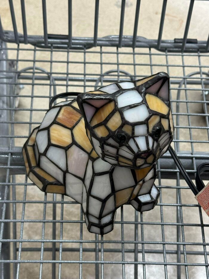 Stained glass cat lamp found at secondhand store delivering cool unexpected surprises on metal shopping cart.