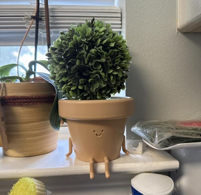A Smiling Planter Pot Will Give Her Favorite Plant A Cheerful Face That Will Stare At Her All Day Long