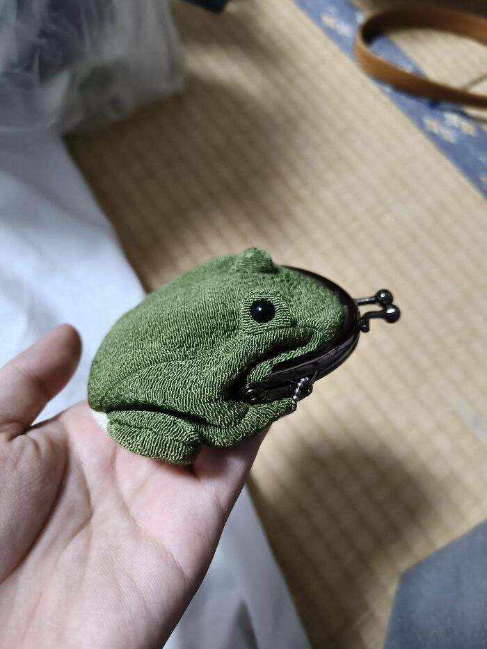 Hand holding a small green frog-shaped coin purse, an example of cool, unexpected surprises from secondhand stores.