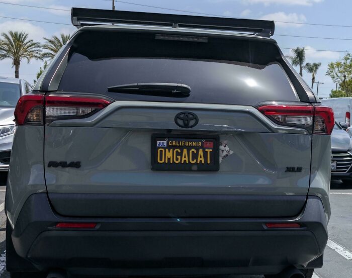 Personalized license plate on a gray Toyota RAV4 with the text OMG CAT, showcasing hilarious custom plates.
