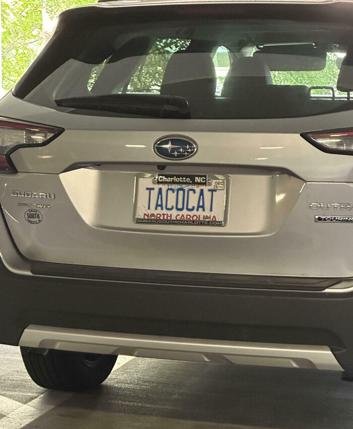 Personalized license plate reading TACOCAT on a silver Subaru Outback parked indoors, catching attention with humor.