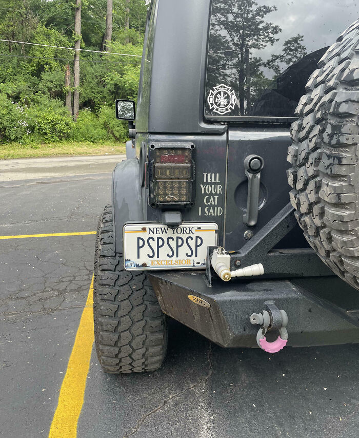 Hilarious License Plate – 'Stay Off The Sidewalk' – Funny Auto Tag For Front Of Car – Gloss Finish