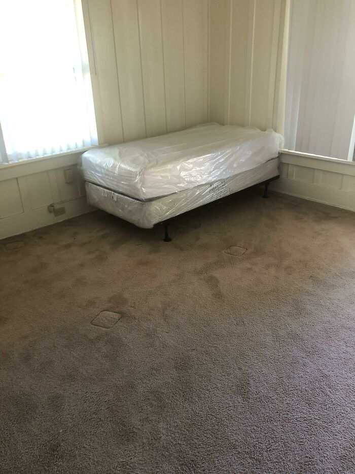 43 Times People Ran Into Snobbiness In The Wild - And Had To Share