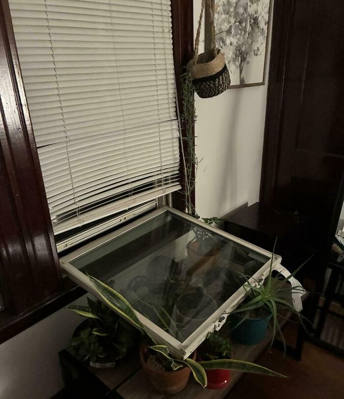 Old window frame placed on top of houseplants inside a rental property showcasing landlord rental nightmares.