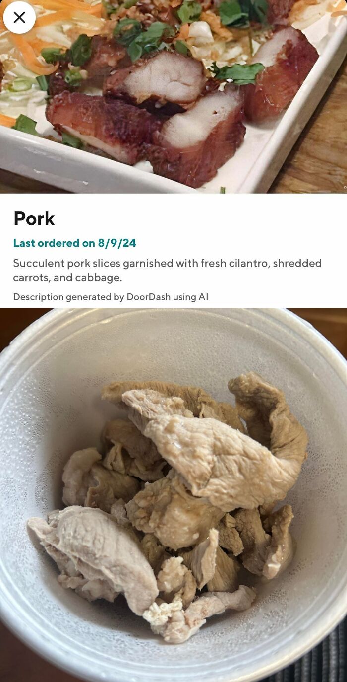 Pork meal that looks nothing like the menu photo with pale boiled meat instead of succulent slices with garnish.