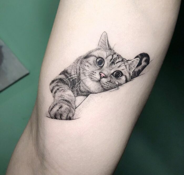 Realistic cat tattoo on forearm showcasing wholesome tattoos with intricate detail and meaningful little ink design.