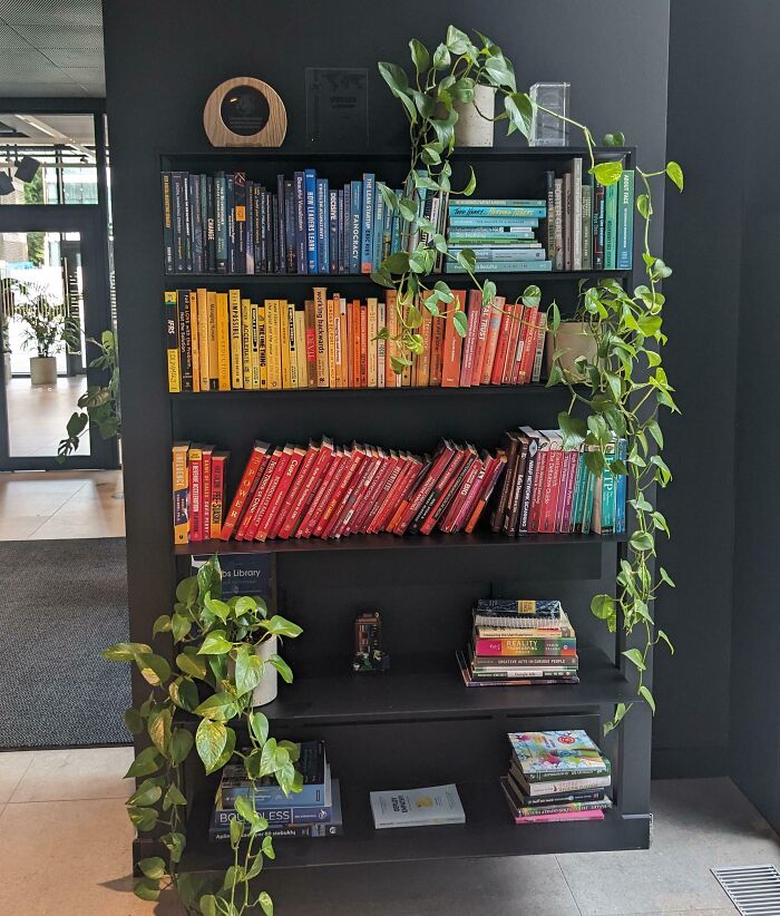 Color-coded bookshelf with green plants in a modern office setting showcasing different jobs that inspire a 9-to-5.
