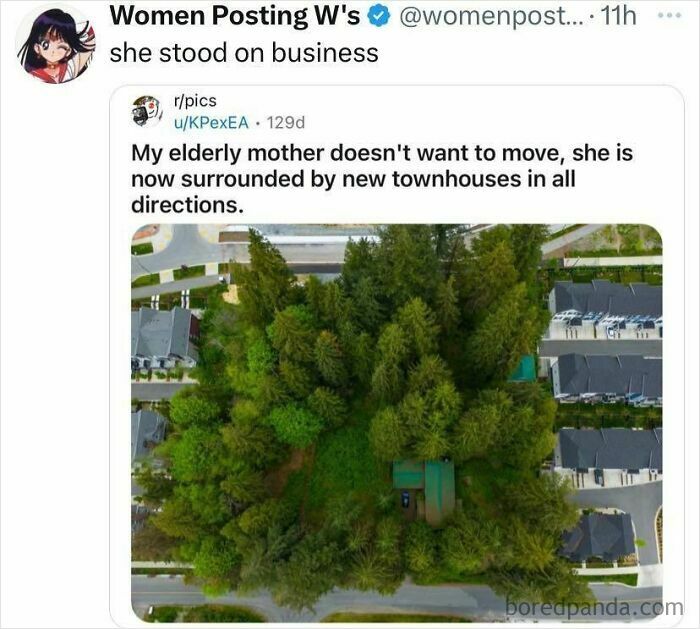 Aerial view of a forest surrounded by new townhouses, featured in cheerful memes about wasting time online.