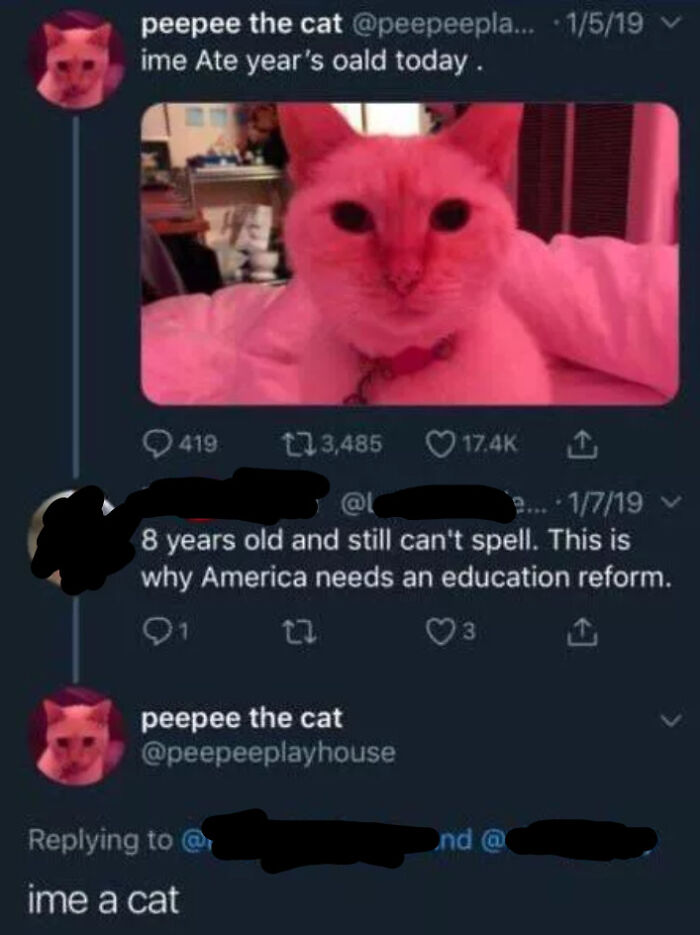 Tweet from a pink cat account humorously misspelling words, part of hilarious posts meant to make you laugh online.