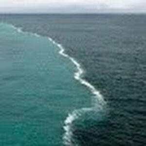 doloresjaffari avatar