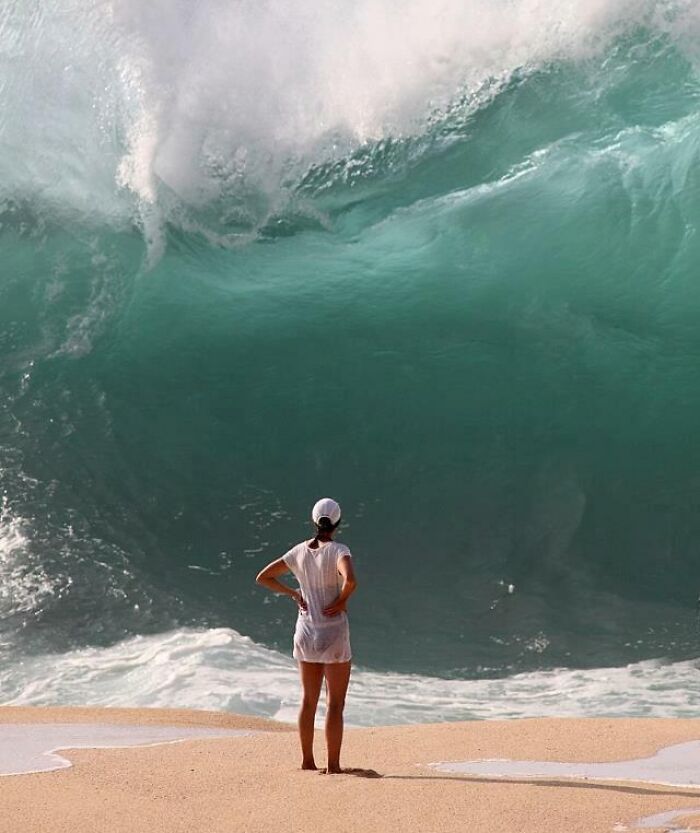 Person standing on beach facing huge wave moments before breaking, a funny and interesting pic taken at the perfect time