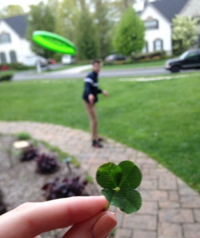 Hand holding a four-leaf clover with a person and a frisbee captured at the perfect time in a yard.