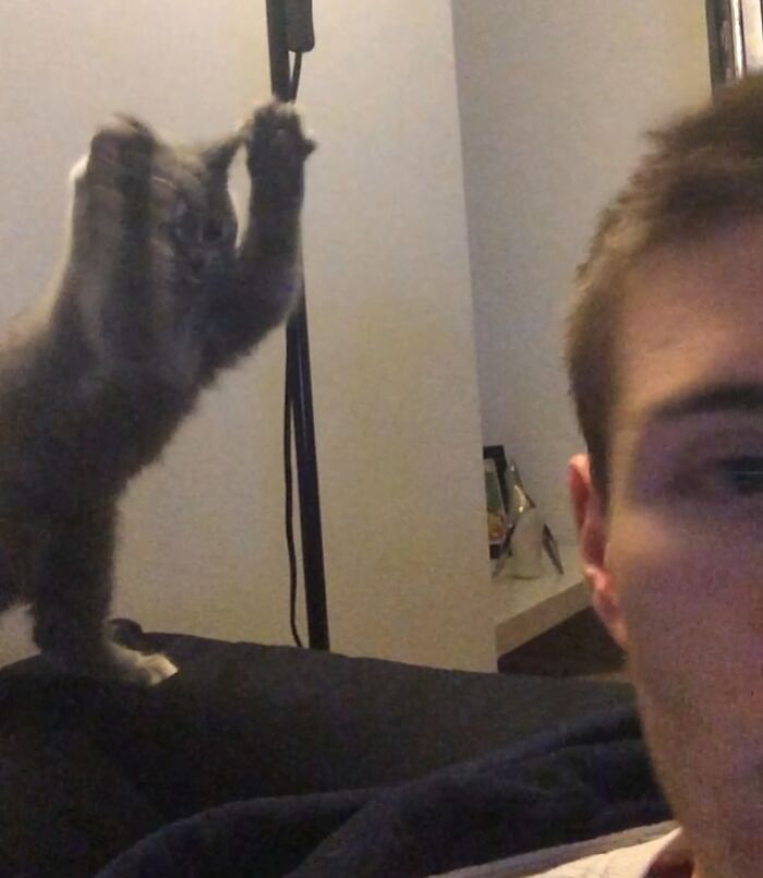 Kitten stretching on the couch behind a man's face, capturing a funny and interesting moment at the perfect time.